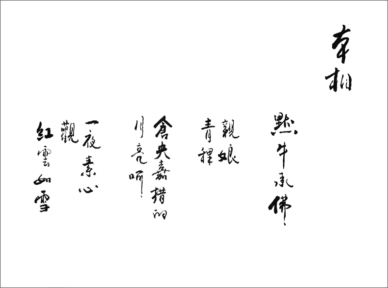 沈奇4_副本_副本.jpg