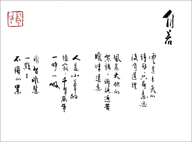 沈奇11_副本_副本.jpg